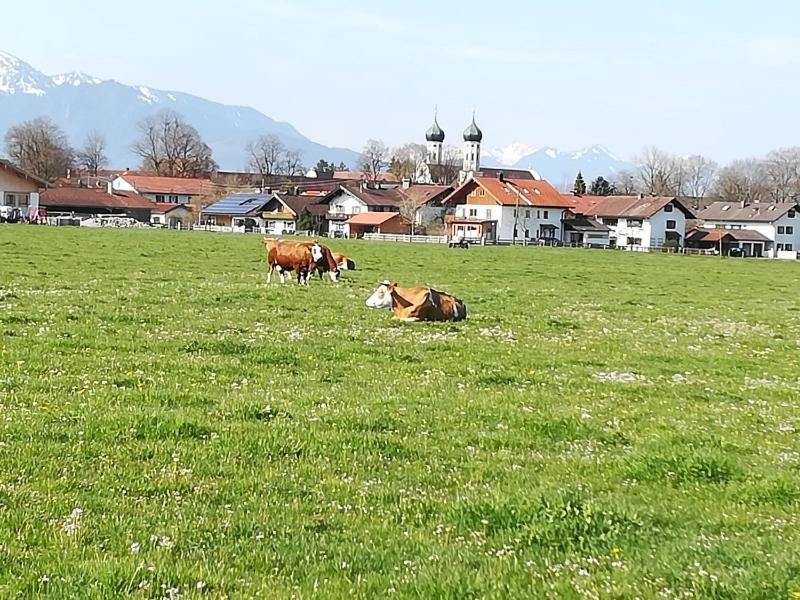 Apartment Moosblick Zwischen Bergen Und See Benediktbeuern Buitenkant foto